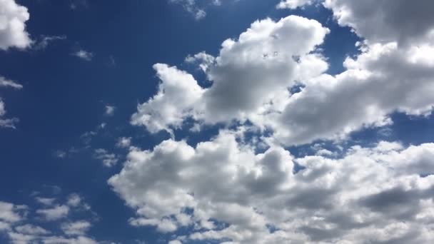 Nubes blancas desaparecen en el sol caliente en el cielo azul. Time-lapse movimiento nubes azul cielo fondo. Cielo azul. Nubes. Cielo azul con nubes blancas. Cielo azul. Nubes. Cielo azul con nubes blancas . — Vídeos de Stock