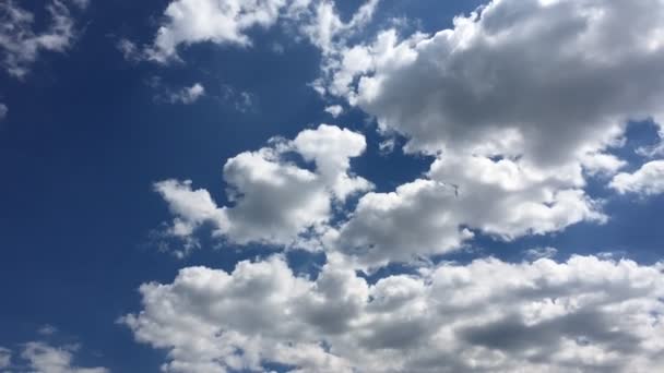 Белые облака исчезают в жарком солнце на голубом небе. Временные облака на голубом фоне неба. Голубое небо. Облака. Голубое небо с белыми облаками. Голубое небо. Облака. Голубое небо с белыми облаками . — стоковое видео