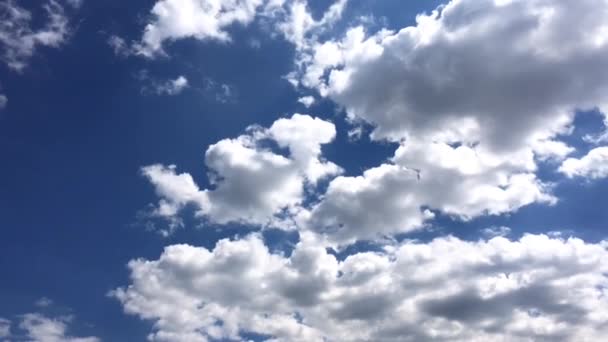 Witte wolken verdwijnen in de hete zon op de blauwe hemel. Time-lapse beweging wolken blauwe lucht achtergrond. Blauwe lucht. Wolken. Blauwe lucht met witte wolken. Blauwe lucht. Wolken. Blauwe lucht met witte wolken. — Stockvideo