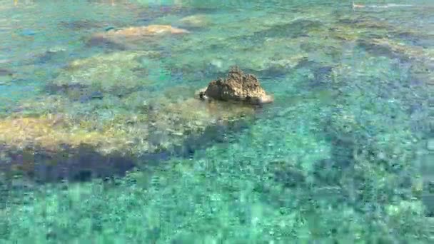 지중해 해안 해안에 텍스처를 물. 밝은 아침 햇살에 바다 스파클의 맑은 물. 작은 파도 바위 해변에 압 연. 아름 다운 자연 보기입니다. 여행 목적지. — 비디오