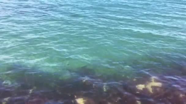 Fundo natural da água no mar acima do recife de coral com ondas — Vídeo de Stock