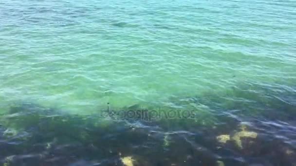 Natuurlijke achtergrond van water in de zee boven koraalrif met golven — Stockvideo