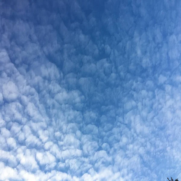 Bulutlarla kaplı güzel mavi bir gökyüzü. Bulutlu gökyüzü doğa mavi bulutlar. Bulutlu ve güneşli mavi gökyüzü. — Stok fotoğraf