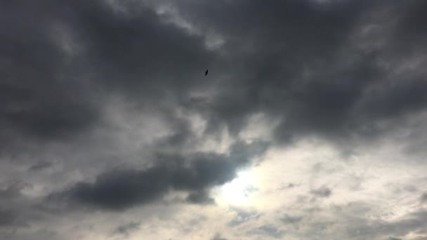 Weiße Wolken Verschwinden Der Heißen Sonne Blauen Himmel Zeitraffer Bewegung — Stockvideo