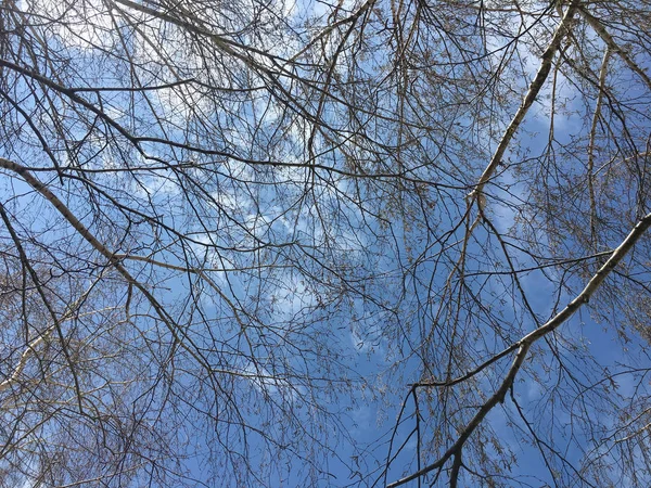 Vackra moln med blå himmel bakgrund. Naturväder, molnblå himmel och sol. — Stockfoto