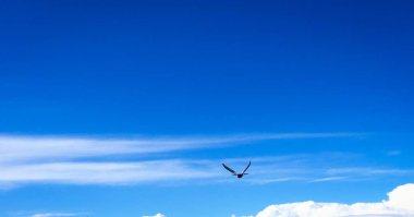 Mavi arkaplanı olan güzel bulutlar. Doğa havası, bulut mavi gökyüzü ve güneş.