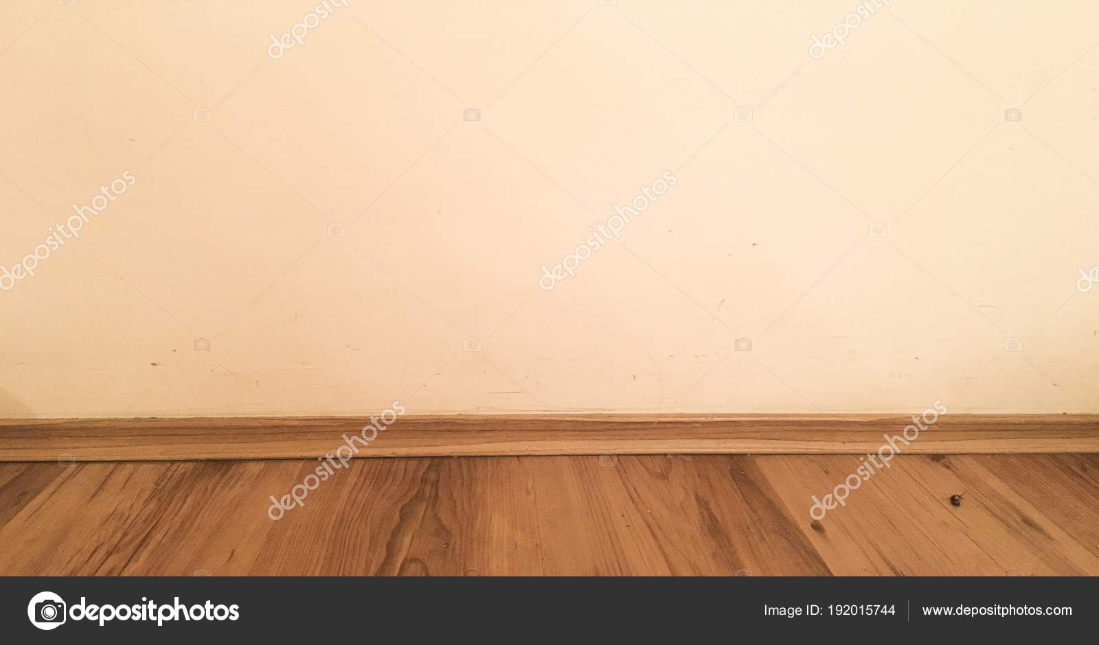 Room Wood Floor Perspective Grunge Pastel Painted Concrete Wall And Varnished Wooden Laminate Planks Grou Old Room Background Washed Oak Parquet Pattern Stock Photo Image By C T Trifonoff 192015744