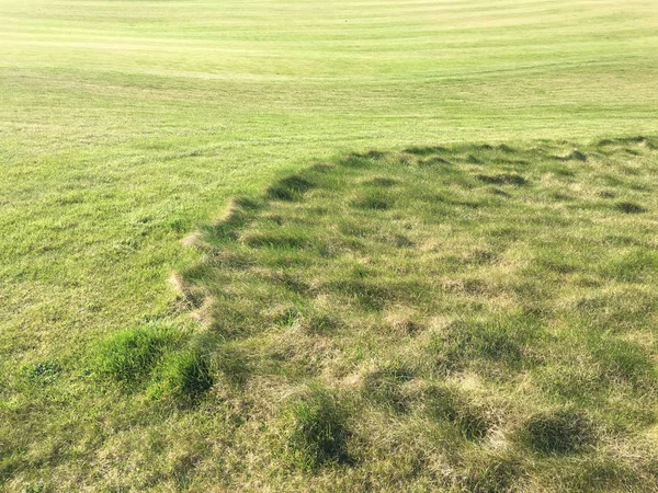 Verde de golfe com bunkers à luz do sol da tarde. Vista panorâmica do golfe verde com armadilhas de areia branca. Flyover do campo de golfe . — Fotografia de Stock