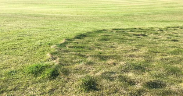Verde de golfe com bunkers à luz do sol da tarde. Vista panorâmica do golfe verde com armadilhas de areia branca. Flyover do campo de golfe . — Fotografia de Stock