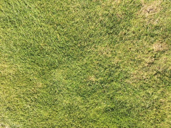 Perfekter Rasen auf dem Golfplatz. Hintergrund grünes Gras. — Stockfoto