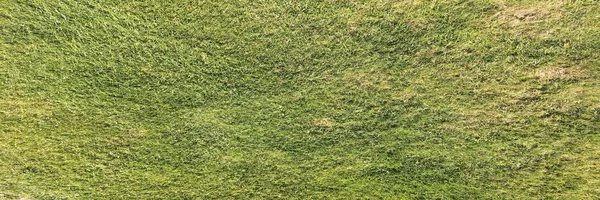 Perfecte gras op het gebied van golf. Achtergrond groen gras. — Stockfoto