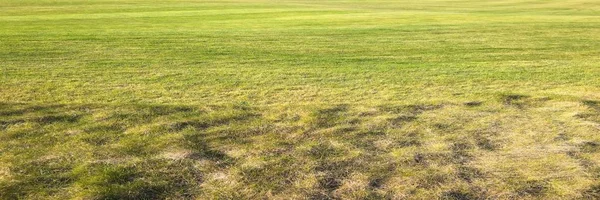 Идеальная трава на поле для гольфа. Зеленая трава . — стоковое фото