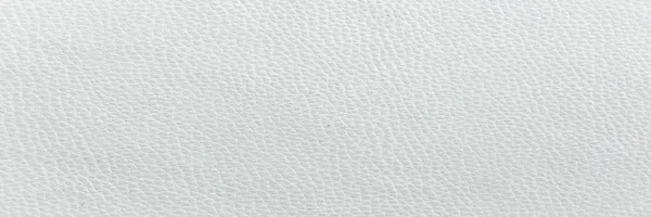 Closeup of seamless white leather texture. Background with texture of white leather.