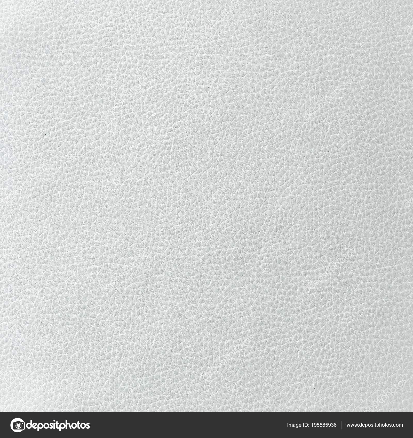 Natural white leather seamless texture  Leather texture seamless, Leather  texture, White fabric texture