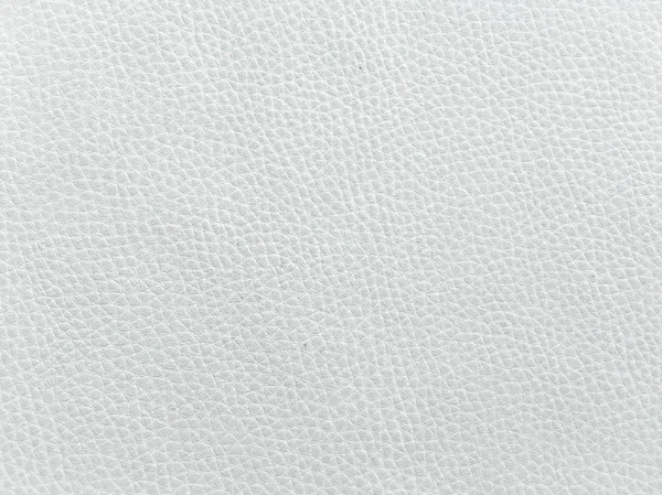 Kesintisiz beyaz deri doku closeup. Arka plan beyaz deri dokusu ile. Bej deri doku, beyaz inek cilt arka planı için.