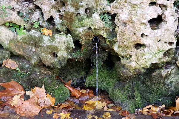 Natural spring water. moss and leaves, water flowing over rocks. — Stock Photo, Image