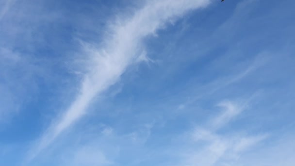 雲を背景にした美しい青空空雲を背景にした空雲を背景にした青空雲と太陽を背景にした青い空 — ストック動画