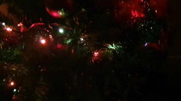 Close Looping Stop Motion Animation Christmas Lights Blinking Christmas Tree — Stok Video