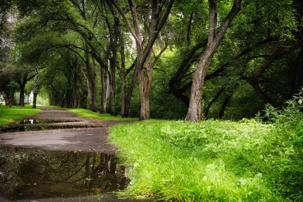 Parkta yürüyüş.