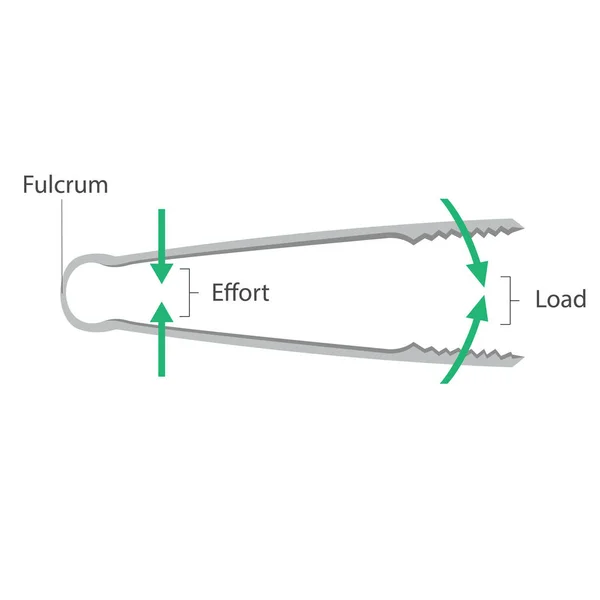 Simple machines: Lever - Tongs
