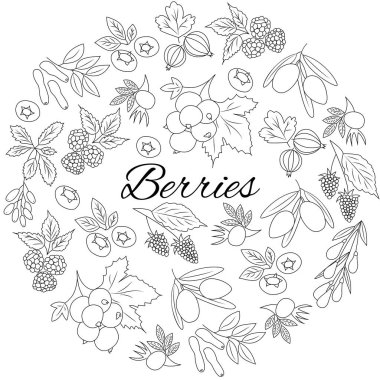 Elle çizilmiş anahat meyveleri izole. Yuvarlak seti.