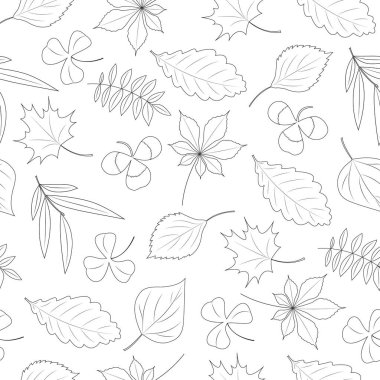 Yaprakların kusursuz deseni