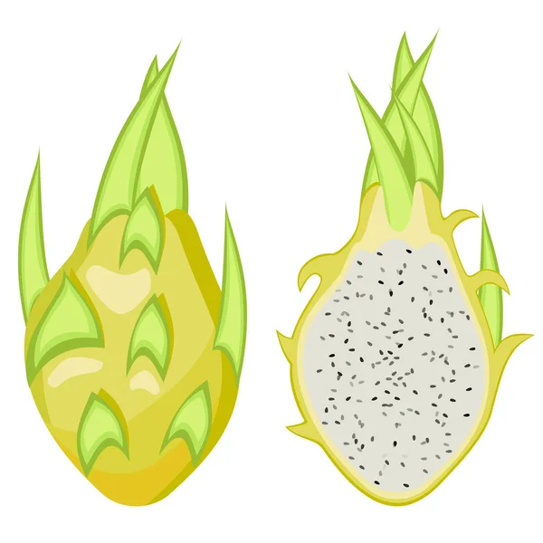 Pitahaya amarillo, vector de fruta Dragón Ilustración . — Vector de stock