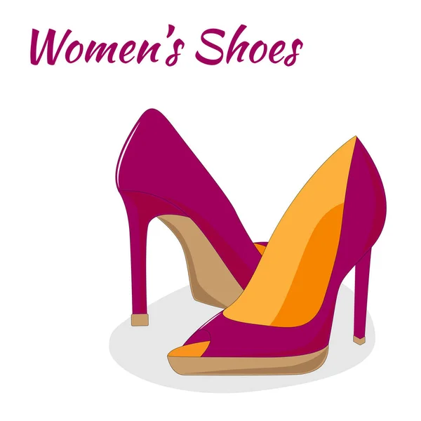 A pair of high-heeled shoes — Stock Vector