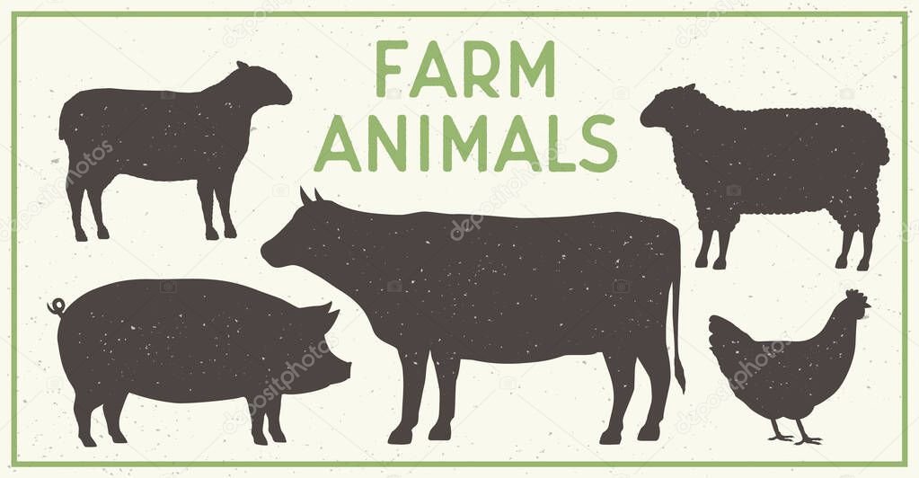Farm animals, copy space
