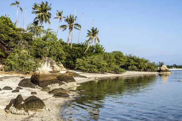 Palm trees, rocks, beach — Stock Photo, Image