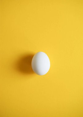 Basit renkli bir arkaplanda bir yumurta
