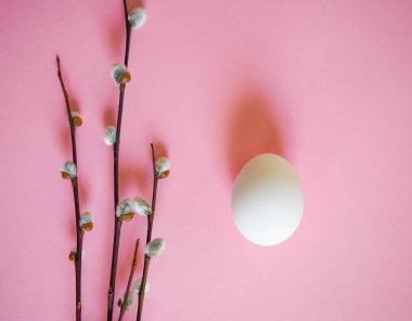 Basit renkli bir arkaplanda bir yumurta