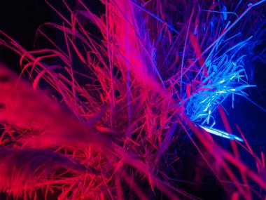 abstract trending blue background of neon plants.