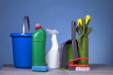 Ev temizlik kavramı. Temizleme ürünleri, çeşitli. 