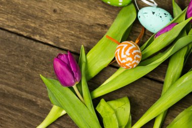 Paskalya kavramı. Paskalya yumurtaları ve Lale renkli arka plan üzerinde yer tipografi için