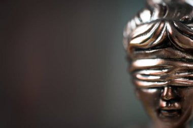 Themis hukuk kavramı