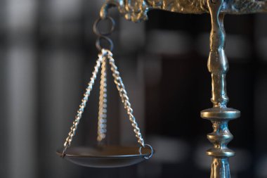 Hukuk Tema. Tahta tokmak 