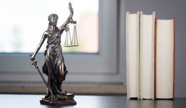 Themis Resim Kitaplığı'nda