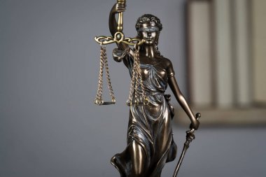 Themis Resim Kitaplığı'nda