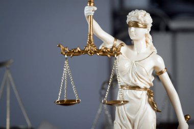 Themis Resim Kitaplığı'nda