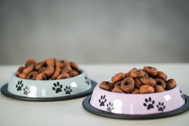 Köpek masayı kuruttu.