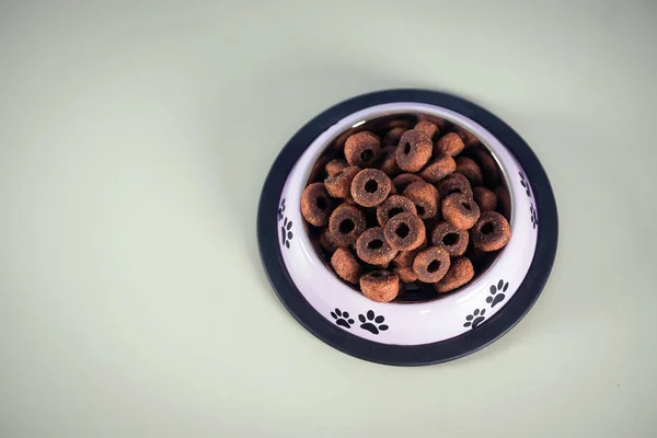 Dog dry food on table