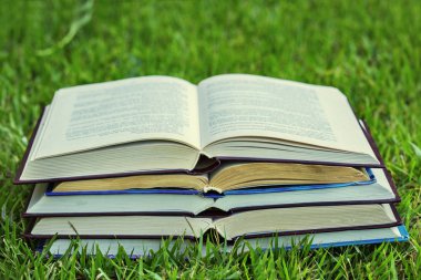Yığın kitap çimenlerin üzerinde.