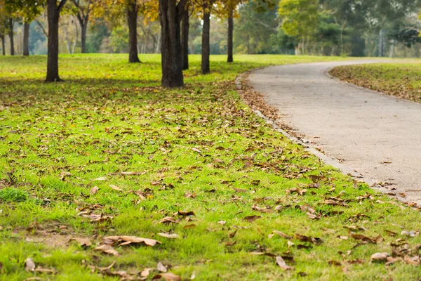 Dirt road at fall themed colored park — Stock Photo, Image