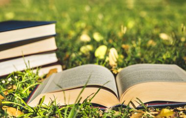 Yığın kapalı kitap ile çim açık kitap 