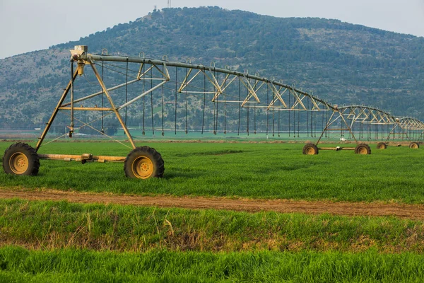 Irrigation sprinkler for watering fields. — Stock Photo, Image