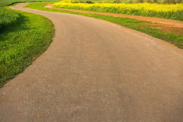 Dirt road at grass field — Stock Photo, Image