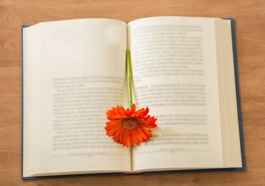 Portakal çiçeği ile ahşap arka plan üzerine açık kitap