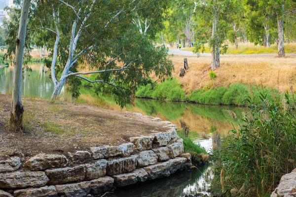Park yarkon Nehri yansıma ağaçta