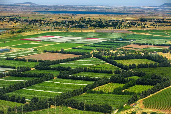 Golan Tepeleri dan Mount Bental görünümünü.